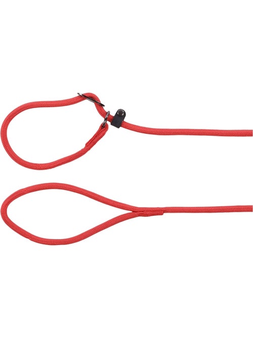 Laisse anti-traction Aiden - Kiabi