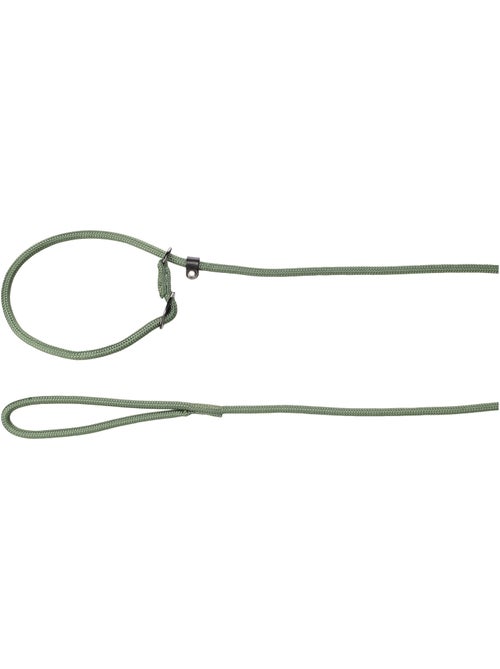 Laisse anti-traction Aiden - Kiabi