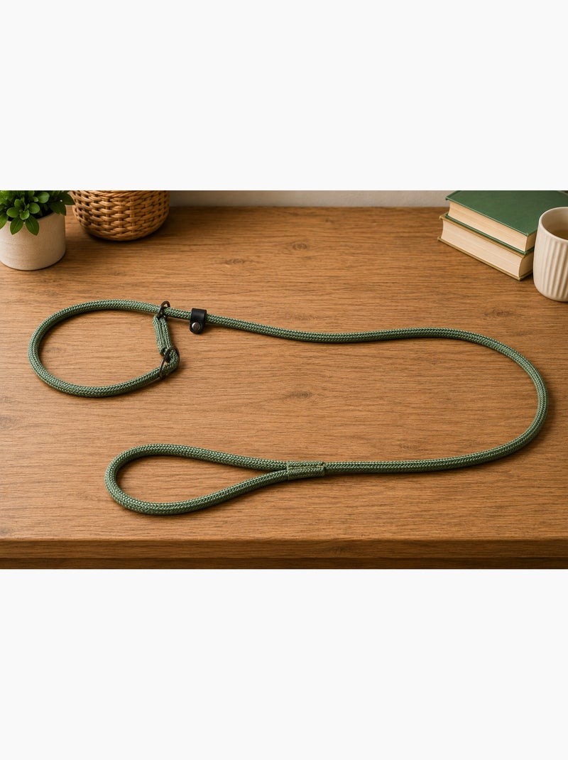 Laisse anti-traction Aiden Vert - Kiabi