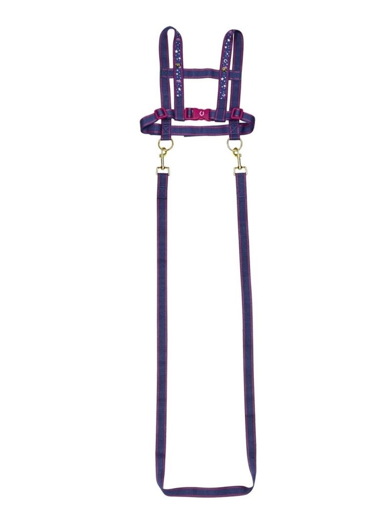 Laisse de cheval Les Amis des Chevaux Violet - Kiabi