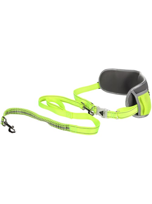 Laisse de Jogging avec Ceinture de Hanches LED pour Chien - Kiabi