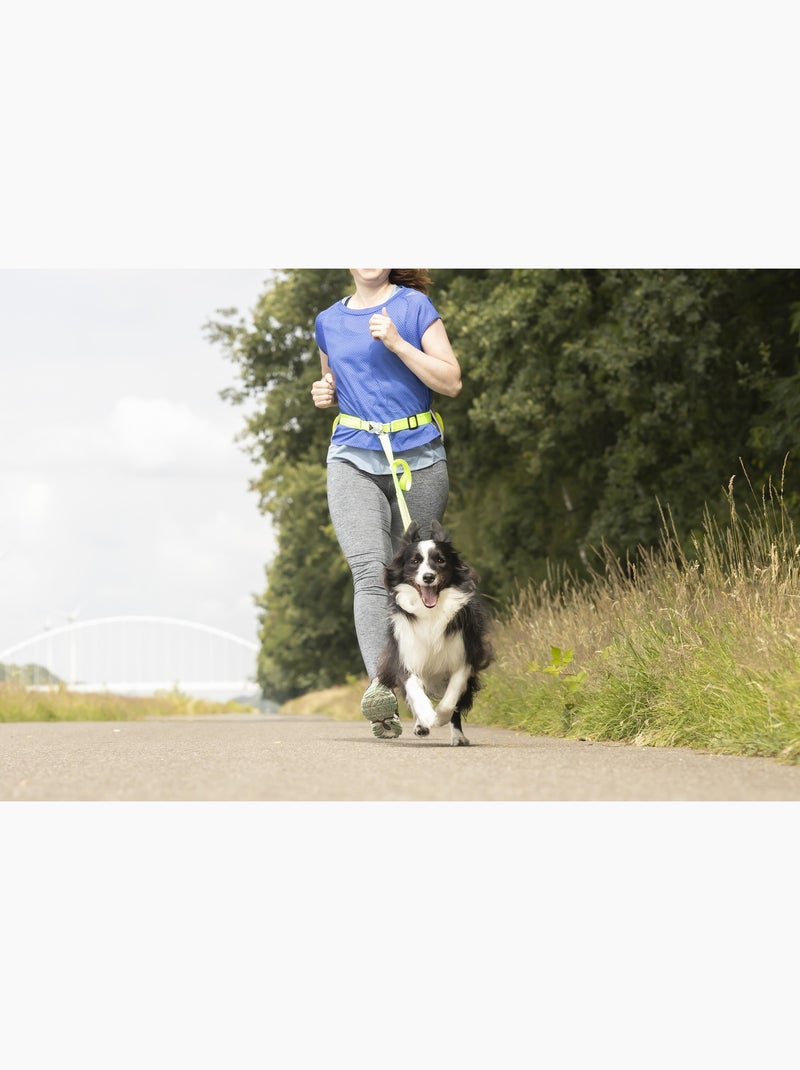 Laisse de Jogging avec Ceinture de Hanches LED pour Chien Noir - Kiabi