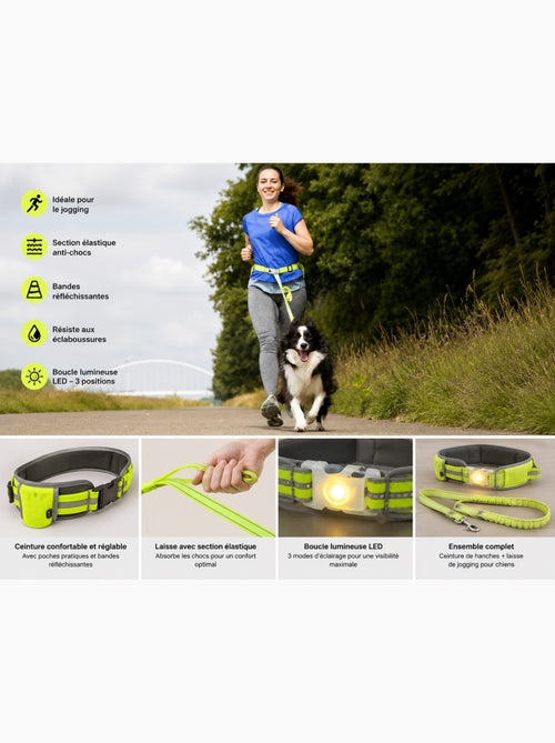 Laisse de Jogging avec Ceinture de Hanches LED pour Chien - Kiabi