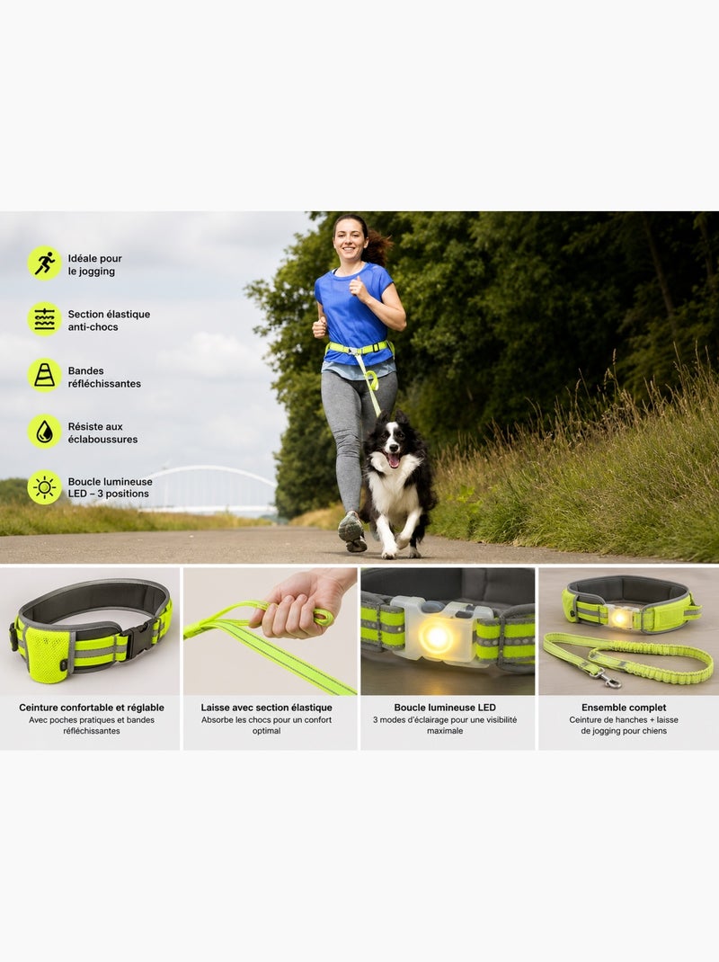 Laisse de Jogging avec Ceinture de Hanches LED pour Chien Noir - Kiabi