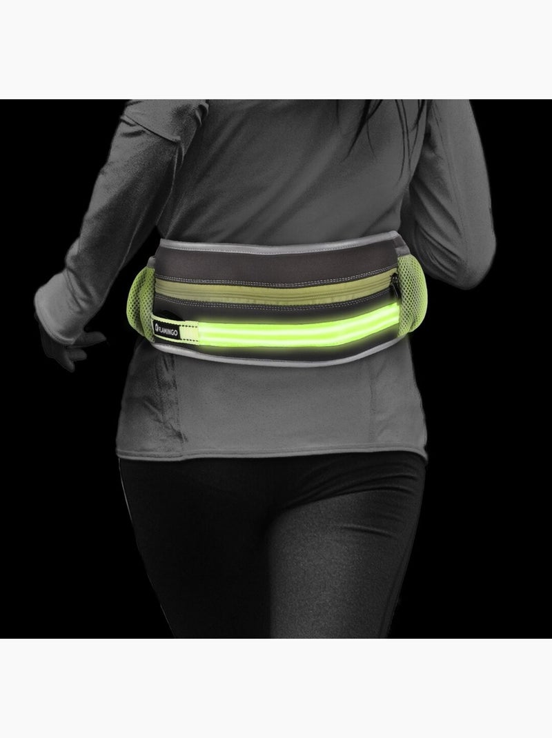 Laisse de Jogging avec Ceinture de Hanches LED pour Chien Noir - Kiabi