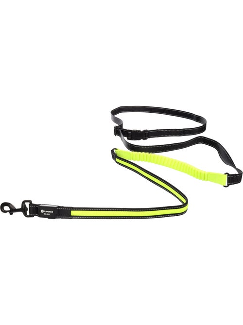 Laisse de Jogging LED Réfléchissante pour Chien - Kiabi