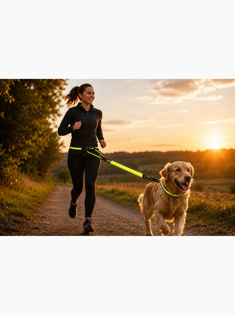 Laisse de Jogging LED Réfléchissante pour Chien Noir - Kiabi
