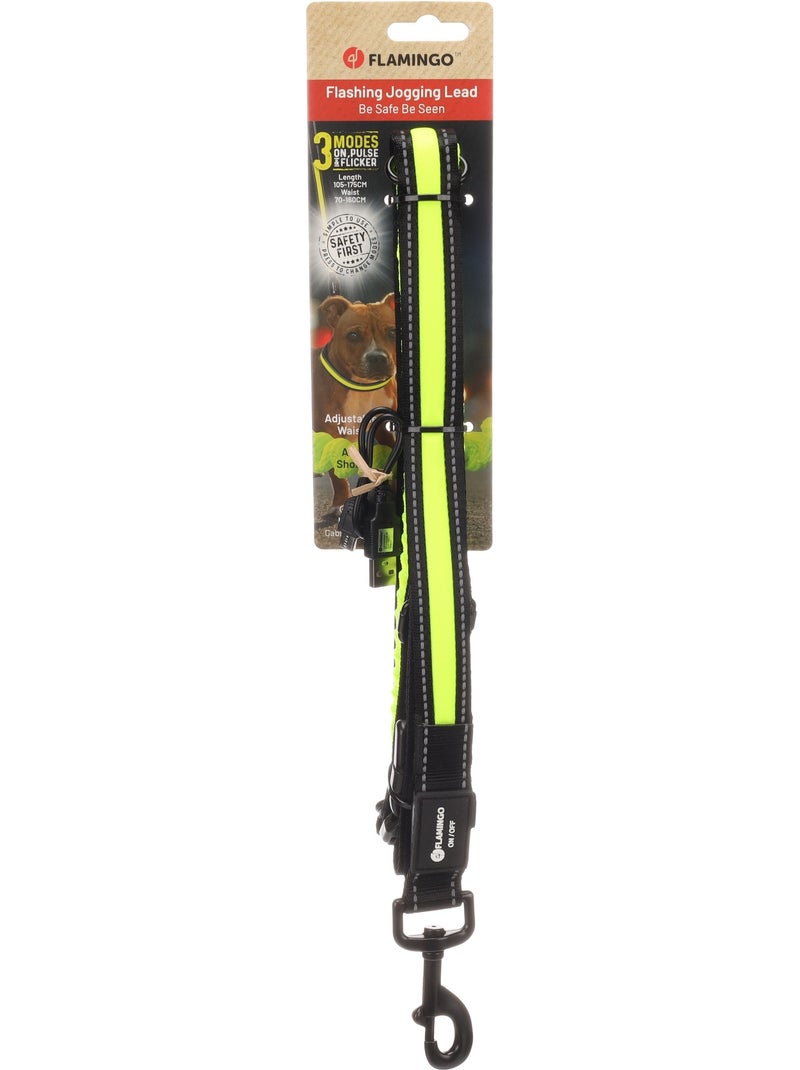 Laisse de Jogging LED Réfléchissante pour Chien Noir - Kiabi