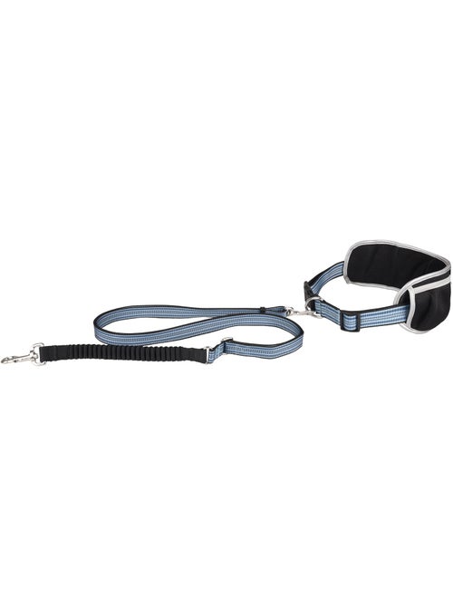 Laisse de Jogging pour Chien avec Ceinture Ventrale bleu - Kiabi