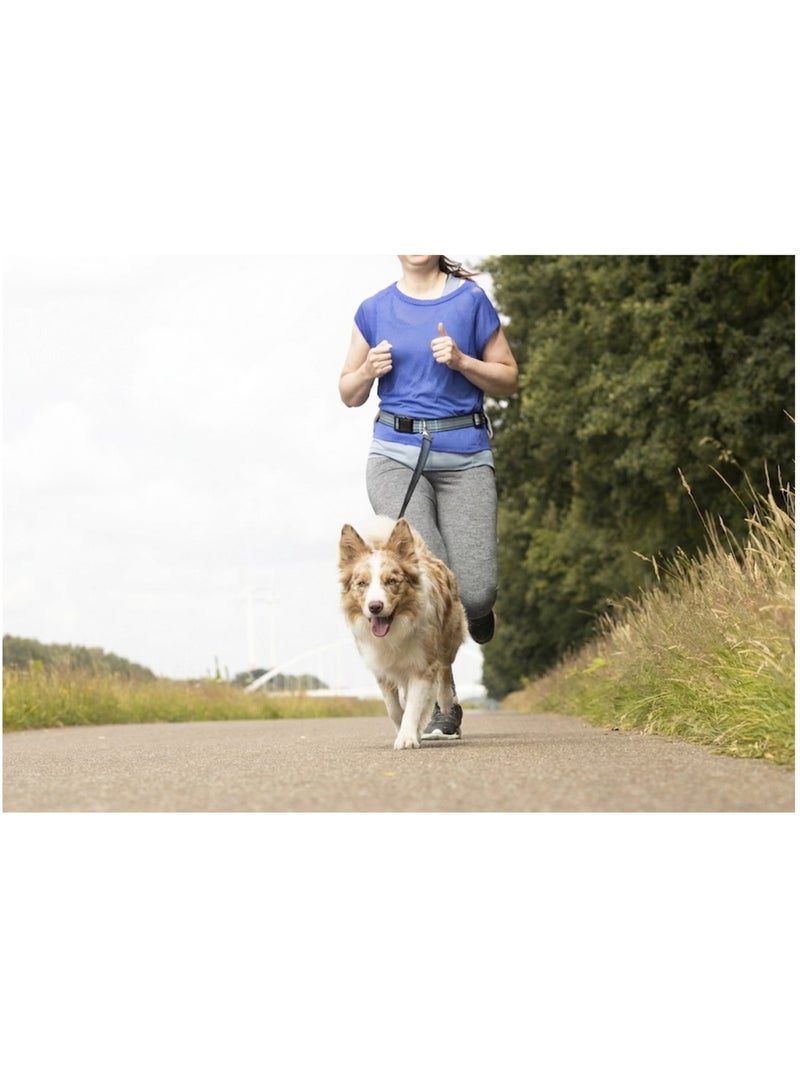 Laisse de Jogging pour Chien avec Ceinture Ventrale bleu Bleu - Kiabi