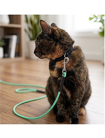 Laisse d'entraînement et a pister caspar pour chat