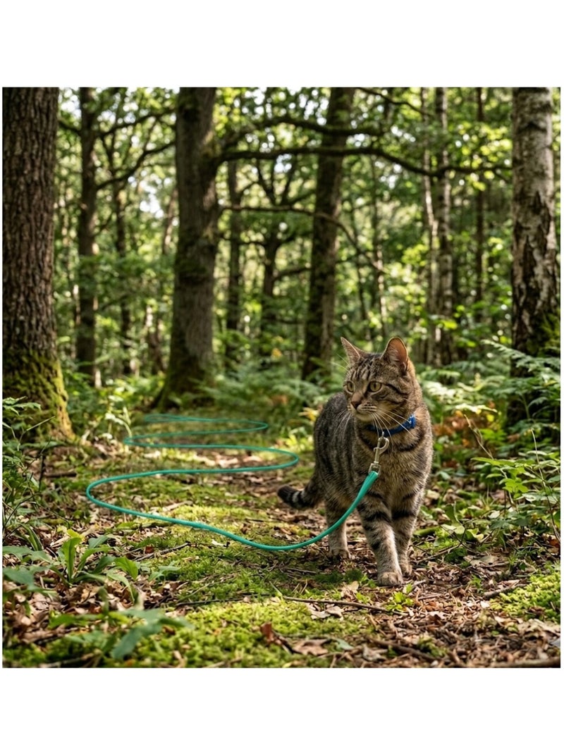Laisse d'entraînement et a pister Caspar pour chat Vert menthe - Kiabi