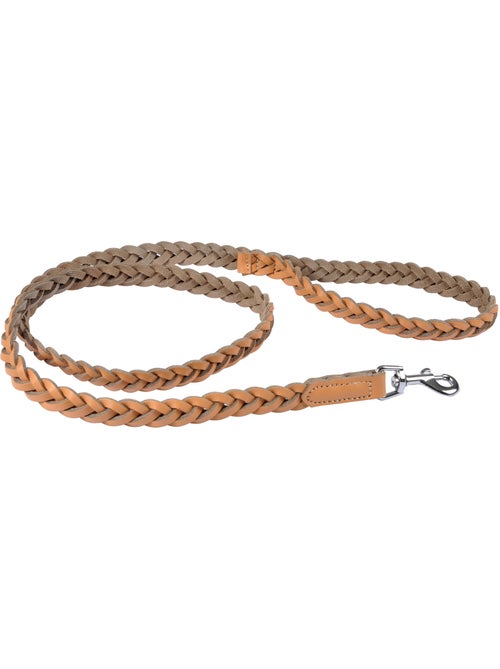 Laisse en cuir tresse pour chien - Kiabi