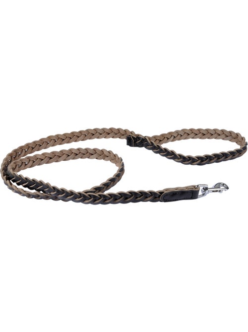 Laisse en cuir tresse pour chien - Kiabi