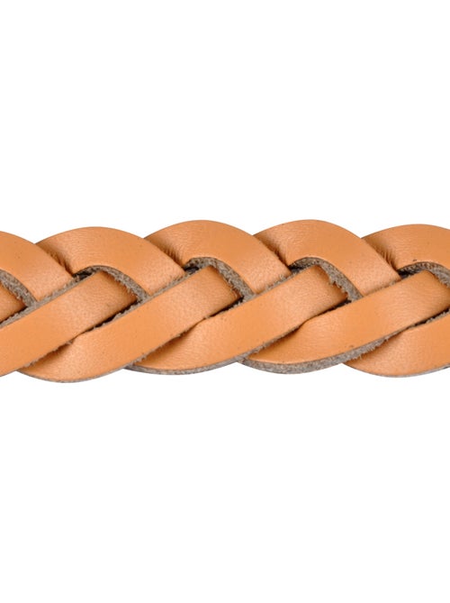Laisse en cuir tresse pour chien - Kiabi