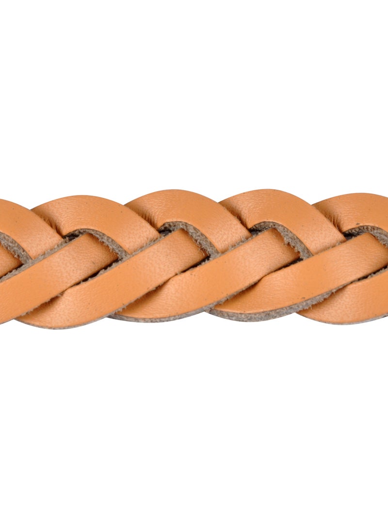 Laisse en cuir tresse pour chien Beige/Noir - Kiabi