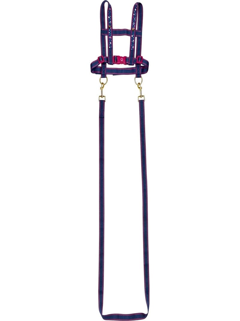 Laisse pour chevaux Amis des chevaux Violet - Kiabi