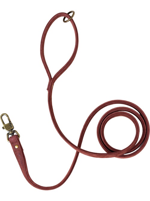 Laisse pour chien en cuir PELUVIO Regent - 1,7 m - Kiabi
