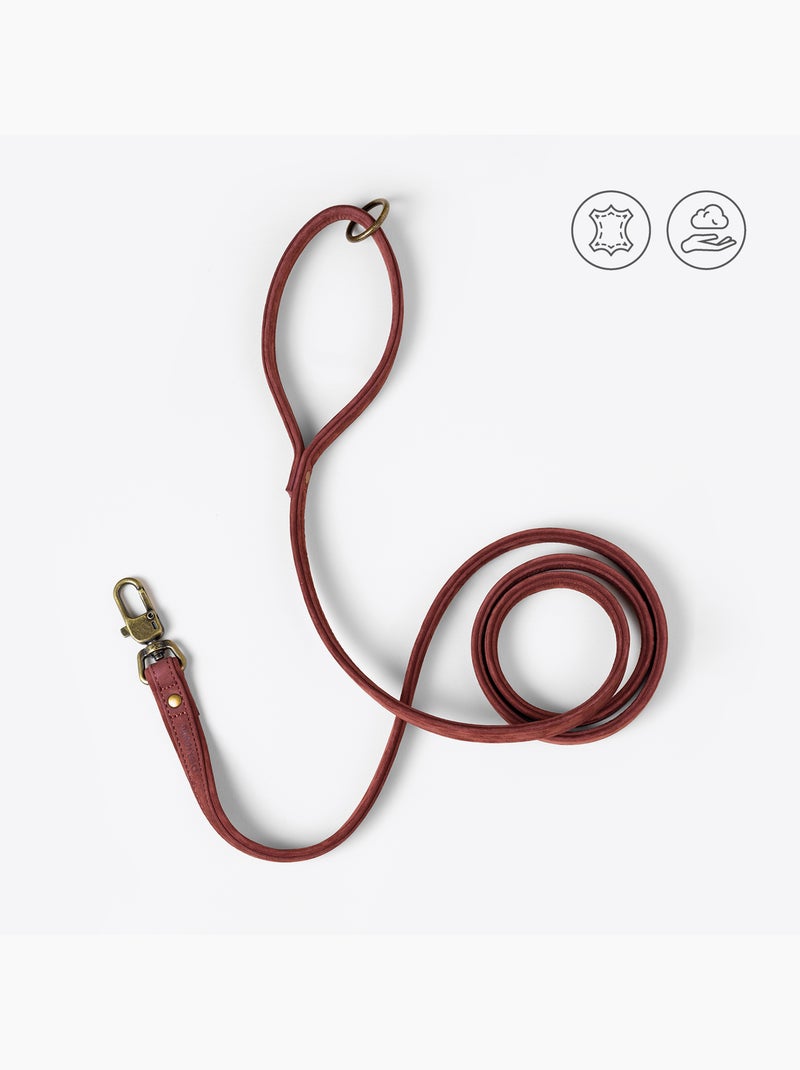 Laisse pour chien en cuir PELUVIO Regent - 1,7 m Marron - Kiabi