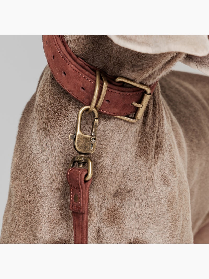 Laisse pour chien en cuir PELUVIO Regent - 1,7 m Marron - Kiabi