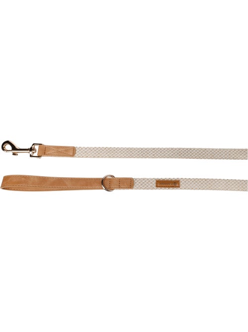 Laisse pour chien Lara - Kiabi