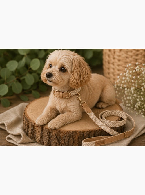 Laisse pour chien Lara - Kiabi