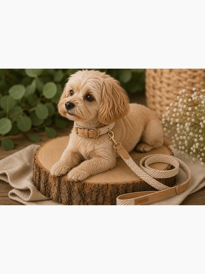 Laisse pour chien Lara Beige - Kiabi