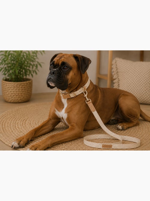 Laisse pour chien Lara - Kiabi