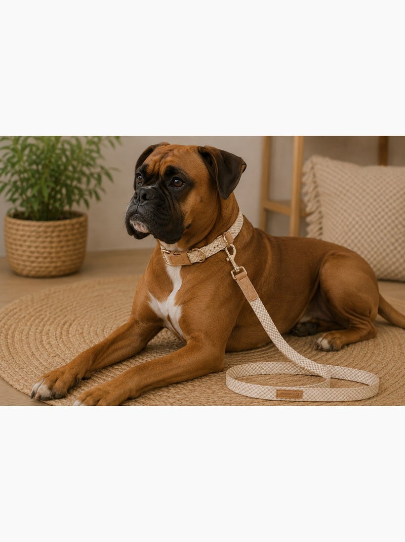 Laisse pour chien Lara Beige - Kiabi