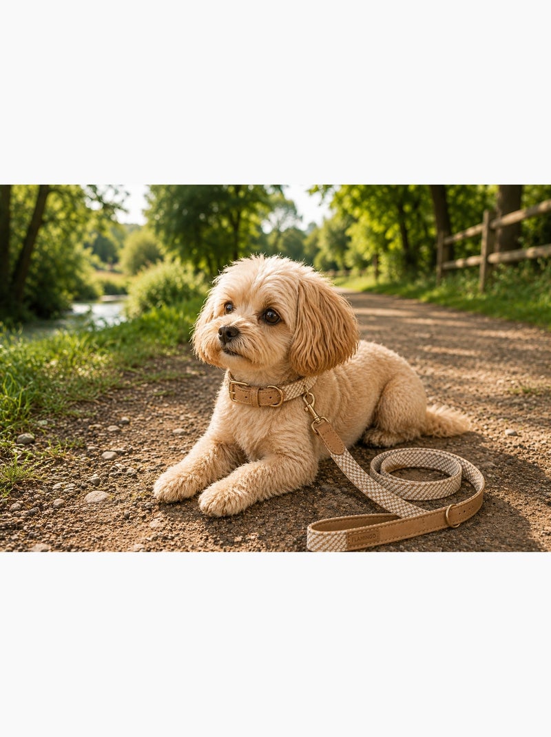 Laisse pour chien Lara Beige - Kiabi