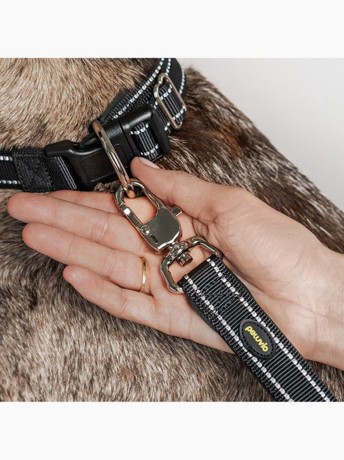 Laisse pour chien PELUVIO Amigo - 2,2 m - Légère - Kiabi