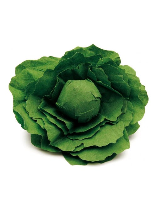 Laitue verte - Kiabi
