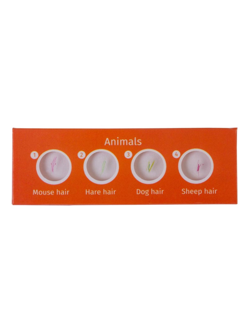 Lames pour microscopes 'Levenhuk' LabZZ C Creatures N/A - Kiabi
