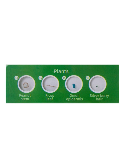 Lames pour microscopes 'Levenhuk' LabZZ P Plantes - Kiabi