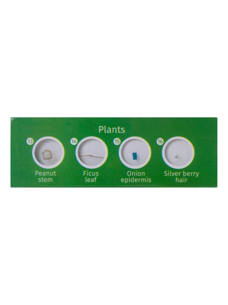Lames pour microscopes 'Levenhuk' LabZZ P Plantes N/A - Kiabi