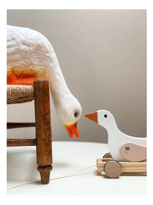 Lampe Canard regardant vers le bas - Kiabi