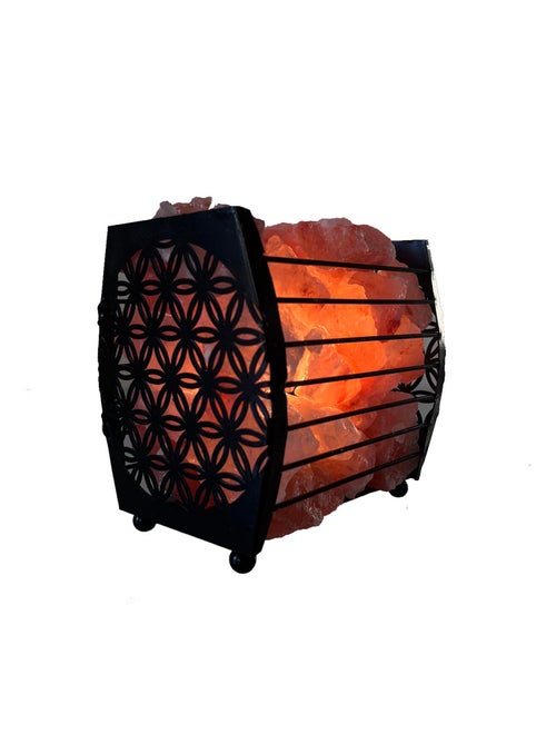 Lampe de sel fleur de vie - Kiabi