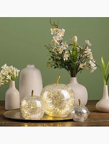 Lampe Pomme lumineuse 10 Led