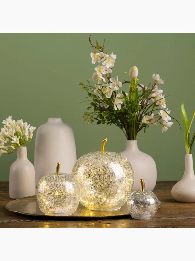 Lampe Pomme lumineuse 10 Led Argenté - Kiabi