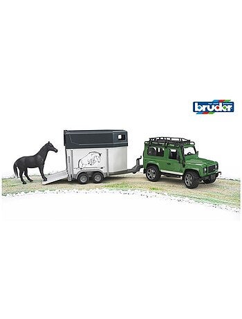 Land Rover Defender avec van pour chevaux et 1 cheva