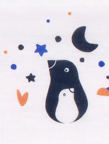 Langes en coton bio boite de 3 - SAUTHON