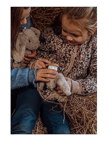 Lapin en peluche et son bébé