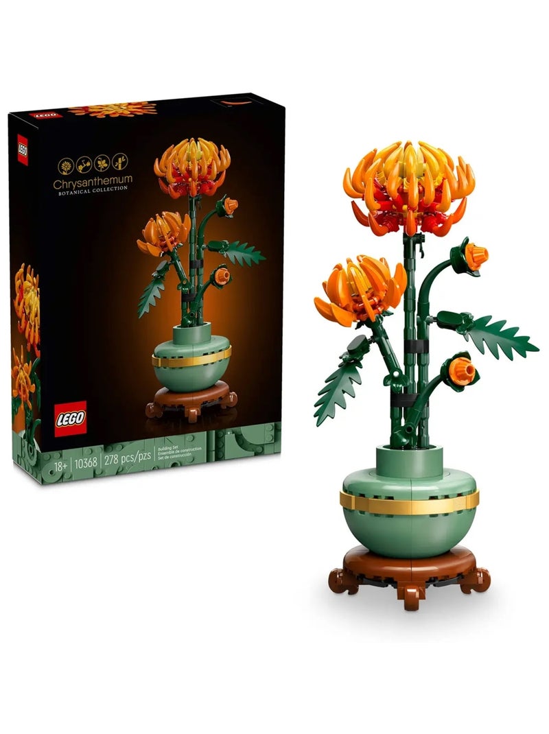 Le chrysanthème Multicolore - Kiabi