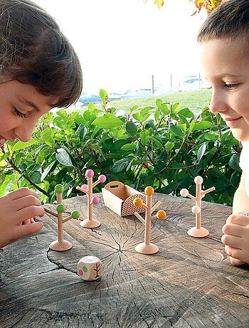 Le Jeu des Saisons