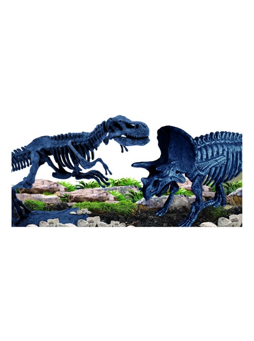 LE LABORATOIRE DE LA PALEONTHOLOGIE - Kiabi