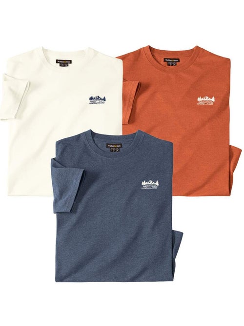 Le Lot de 3 Tee-Shirts Forest Expedition  - ATLAS FOR MEN - Kiabi