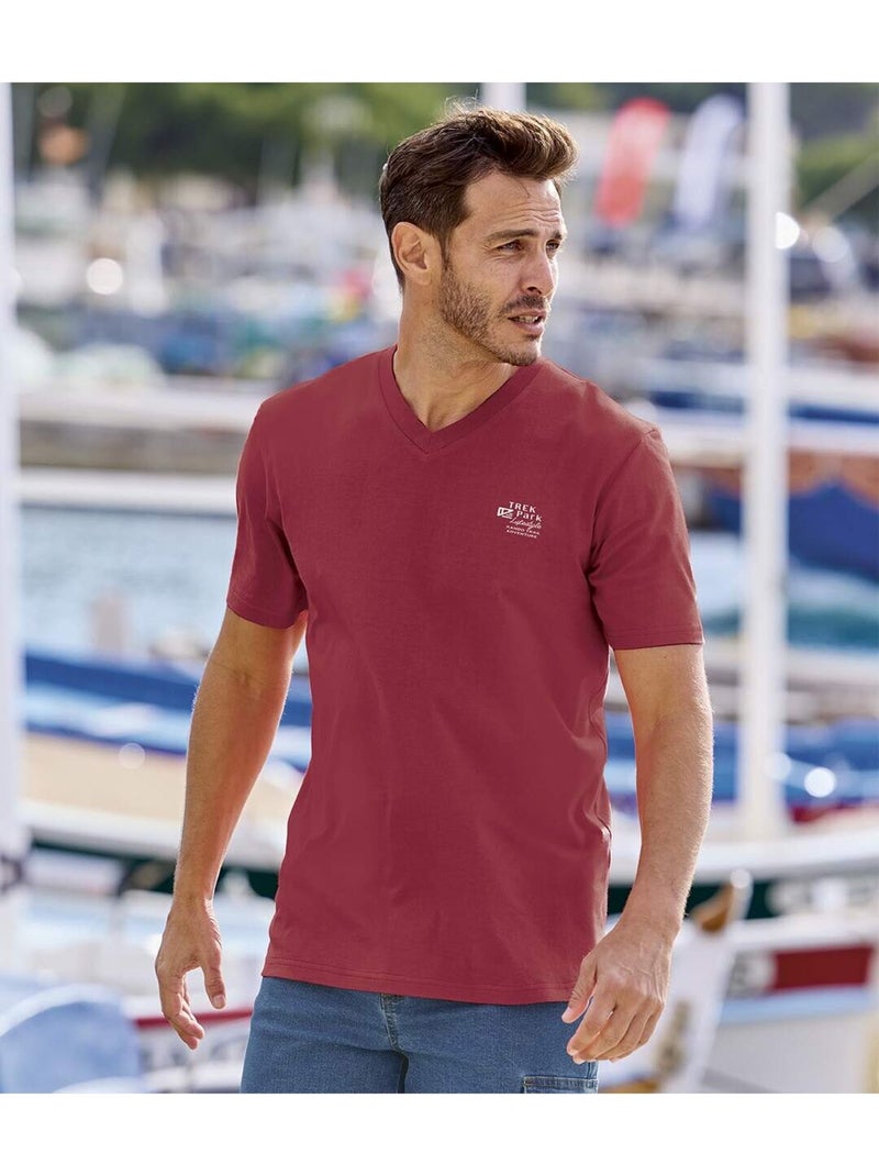 Le Lot de 3 Tee-Shirts Manches Courtes Col V  - ATLAS FOR MEN Bleu Bordeaux - Kiabi