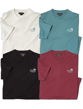 Le Lot de 4 Tee-Shirts Expedition - ATLAS FOR MEN