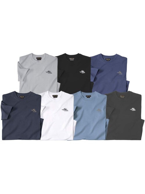 Le Lot de 7 Tee-Shirts Expédition  - ATLAS FOR MEN - Kiabi
