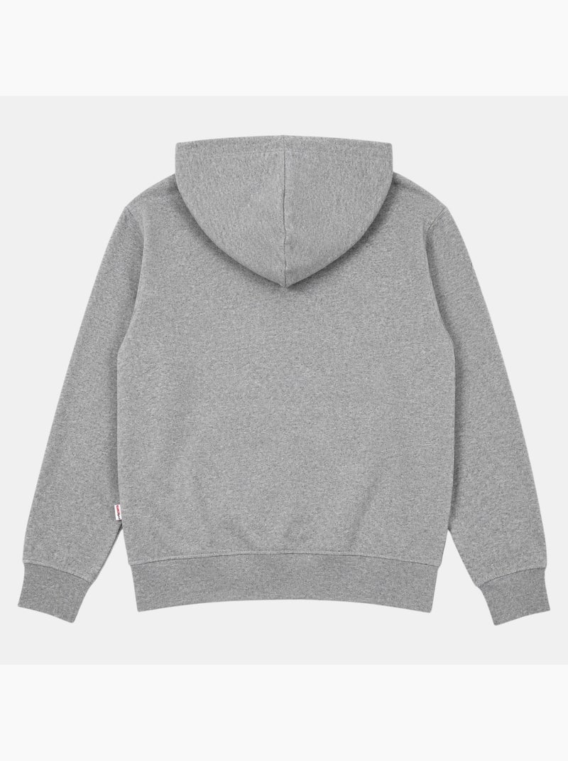 Lee cooper - sweat à capuche 2 couleurs homme Gris - Kiabi